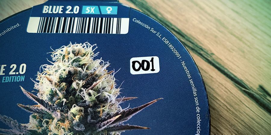 HVAD ER KANNABIA SEED COMPANY?
