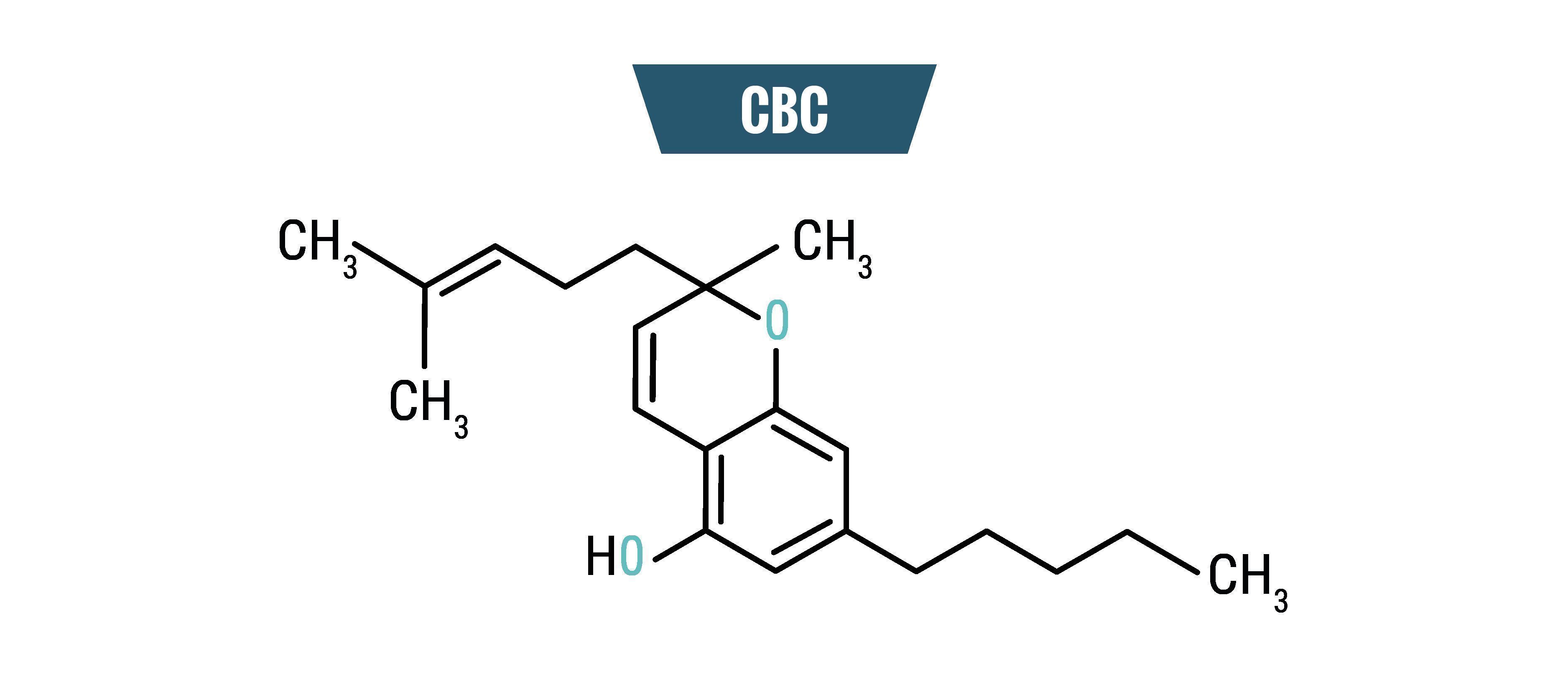Hvad er CBC Hvad er CBC