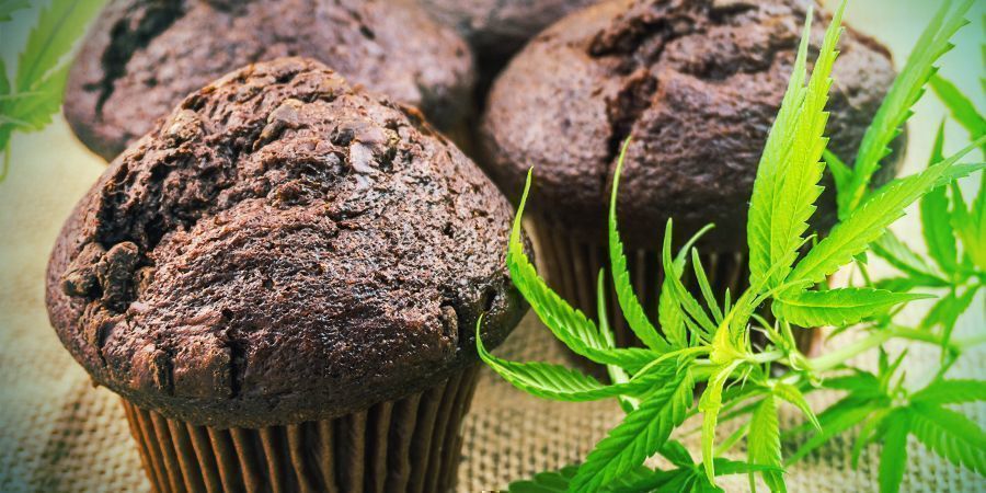 4%+ biotilgængelighed: spiselige BIOTILGÆNGELIGHED: SPISLIGE CANNABISPRODUKTER