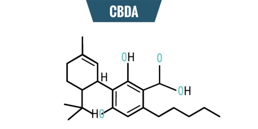 CBDA's kemi Chemistry Of CBDA