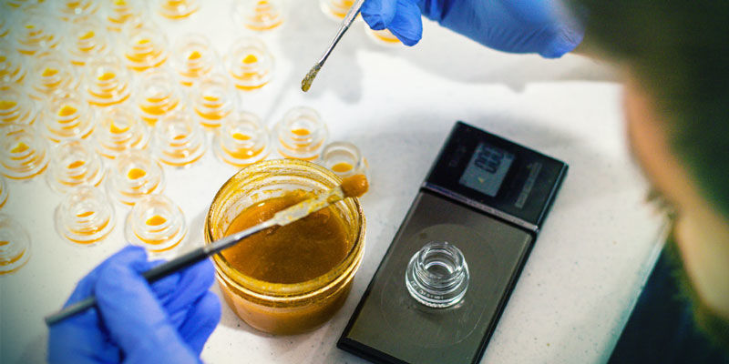 Hvad er live resin? Hvad er live resin?
