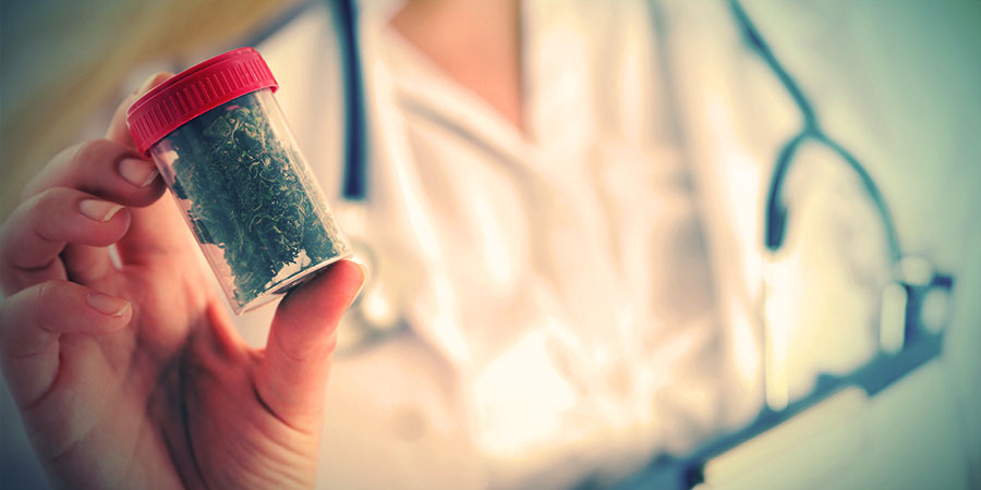 Vigtigheden af alternative kilder til cannabinoider Vigtigheden af alternative kilder til cannabinoider