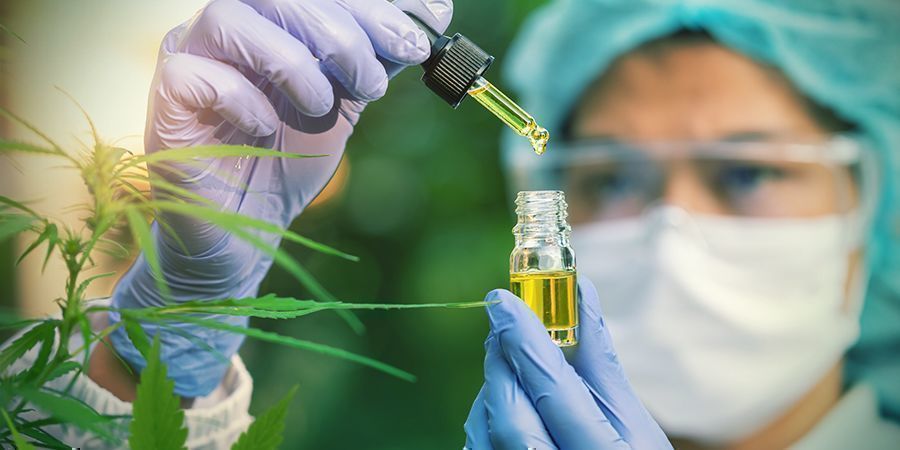 CBD Binder til cannabinoidreceptorer CBD Binds To Cannabinoid Receptors
