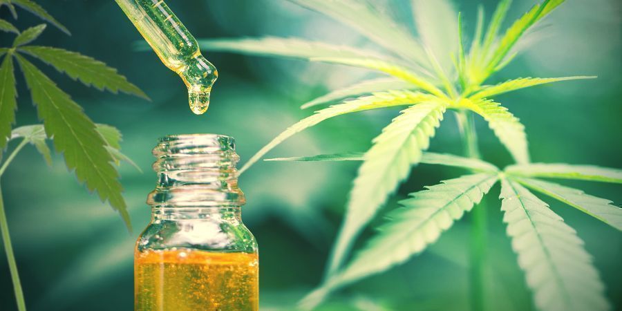 CBD Is The Only Therapeutic Compound Found In Hemp/cannabis CBD Is The Only Therapeutic Compound Found In Hemp/cannabis