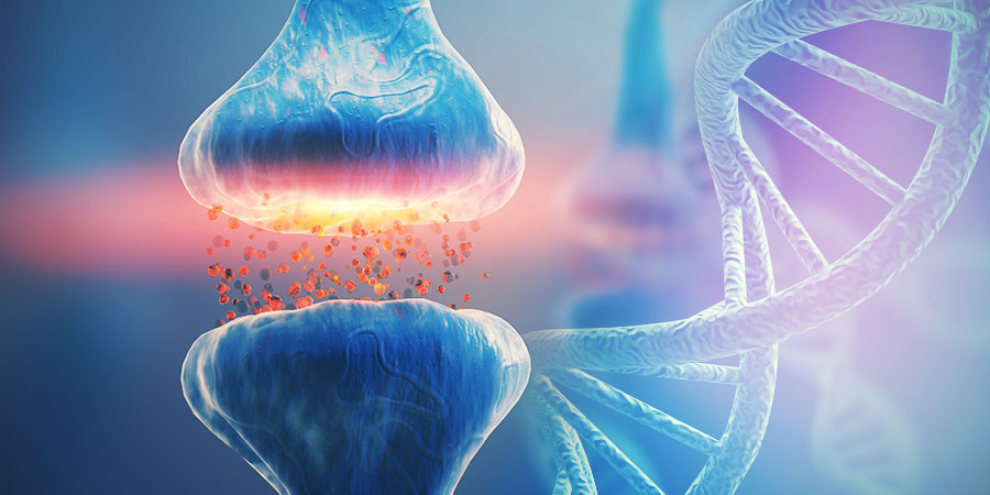 DNA og det endocannabinoide system DNA AND THE ENDOCANNABINOID SYSTEM