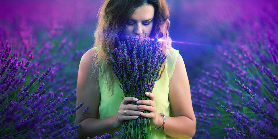 Kan det muntre dig op? Cannabis & Linalool: Kan det muntre dig op?