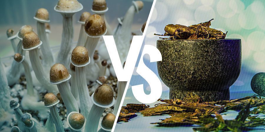 Psilocybin vs. DMT: ligheder og forskelle Psilocybin vs. DMT: ligheder og forskelle