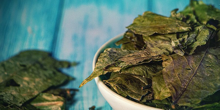 Hvad er ayahuasca?