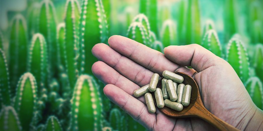 Mescalin fås som microdots eller mikrodoser Mescalin fås som microdots eller mikrodoser