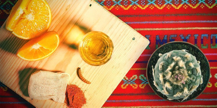 Mezcal og meskalin hænger sammen Mezcal og meskalin hænger sammen