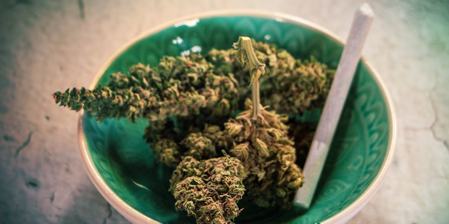 Kan man ryge gammel cannabis? Kan man ryge gammel cannabis?