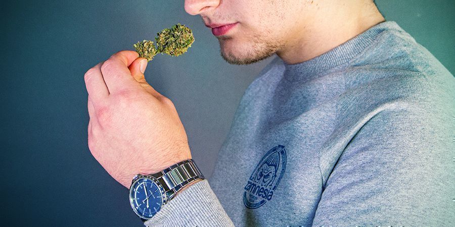 Kan cannabis udløbe? Kan cannabis udløbe?