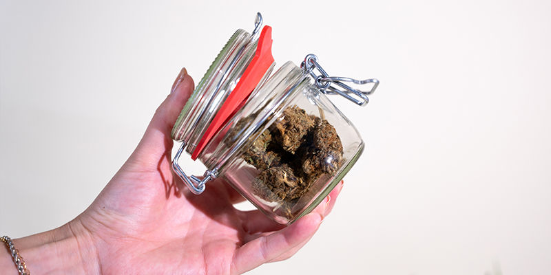 Sådan udlufter du dine cannabisblomster korrekt Sådan udlufter du dine cannabisblomster korrekt