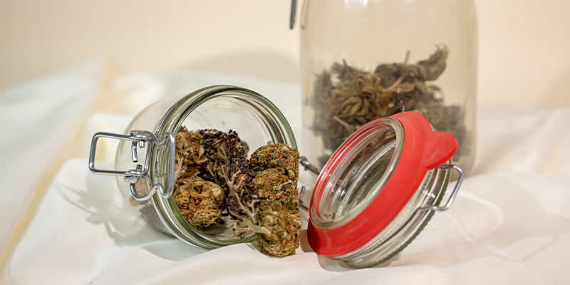 Forebyggelse af fugt: Opbevar dit cannabis korrekt Forebyggelse af fugt: Opbevar dit cannabis korrekt