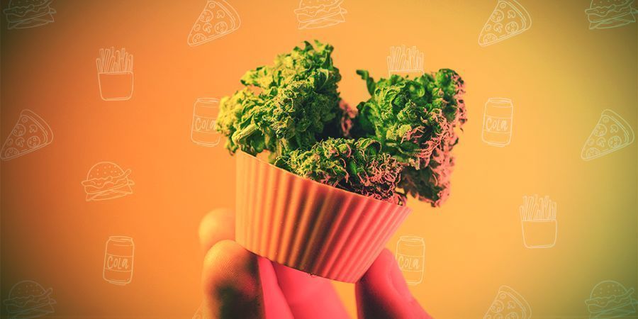 Sådan doserer du cannabis spiselige Sådan doserer du cannabis spiselige