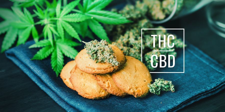 Hvad er forskellen på CBD- og THC-edibles? Hvad er forskellen på CBD- og THC-holdige cannabis spiselige produkter?