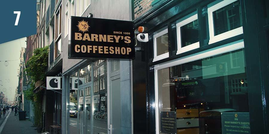 Barney's Coffeeshop Amsterdam Barney's Coffeeshop Amsterdam - Bedste indicasort