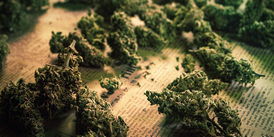 Brug af cannabisblomster til at lave e-væske USING CANNABIS BUDS TO MAKE E-LIQUID