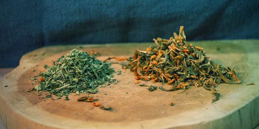 Vild dagga & klip dagga: sammenligning af virkninger Wild Dagga & Klip Dagga: Camparing Effects