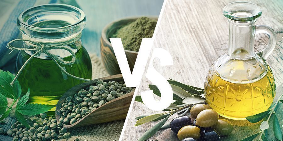 Hampfrøolie vs olivenolie CBD HEMP SEED OIL VS OLIVE OIL