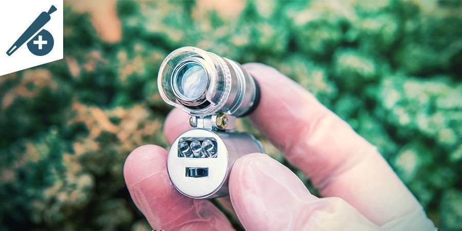 Fordele ved mikroskoper for rygere FORDELE VED MIKROSKOPER FOR CANNABISRYGERE