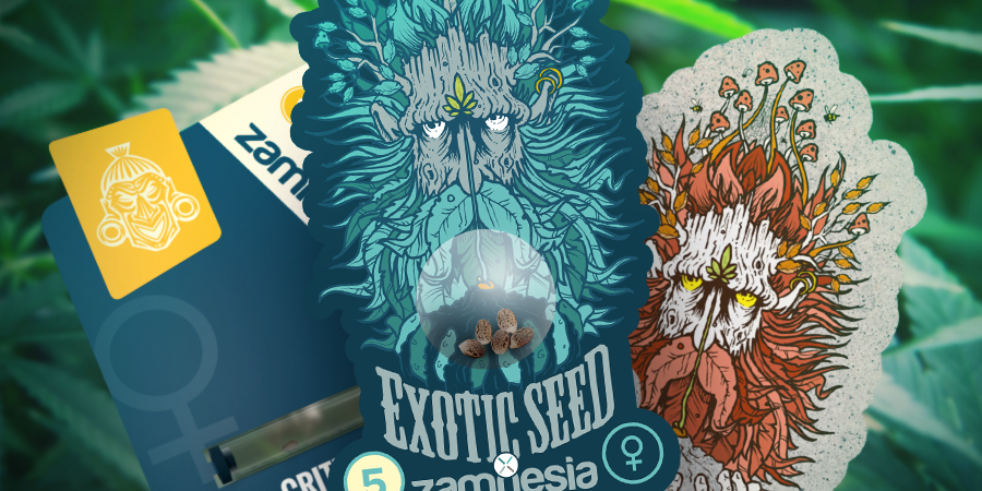 Zamnesia og Exotic Seed: Et potent samarbejde ZAMNESIA AND EXOTIC SEED: A POTENT COLLABORATION