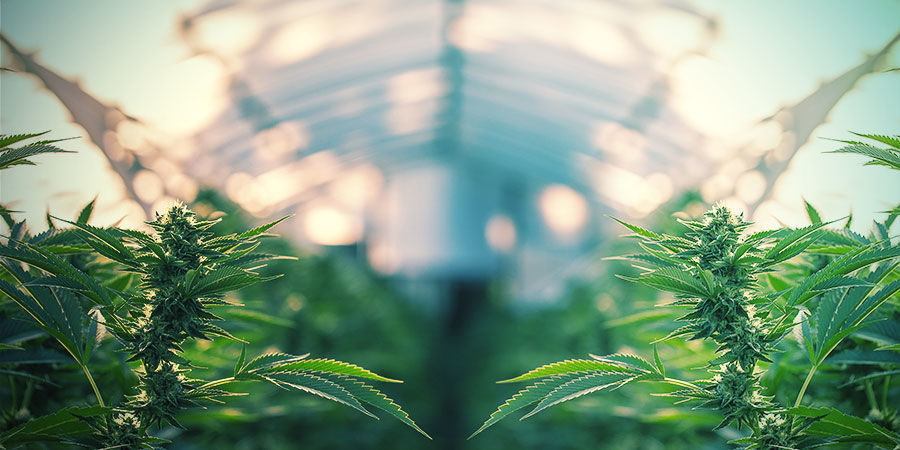 Kan vandingssystemer bruges både indendørs og udendørs? CAN IRRIGATION SYSTEMS BE USED BOTH INDOORS AND OUTDOORS?