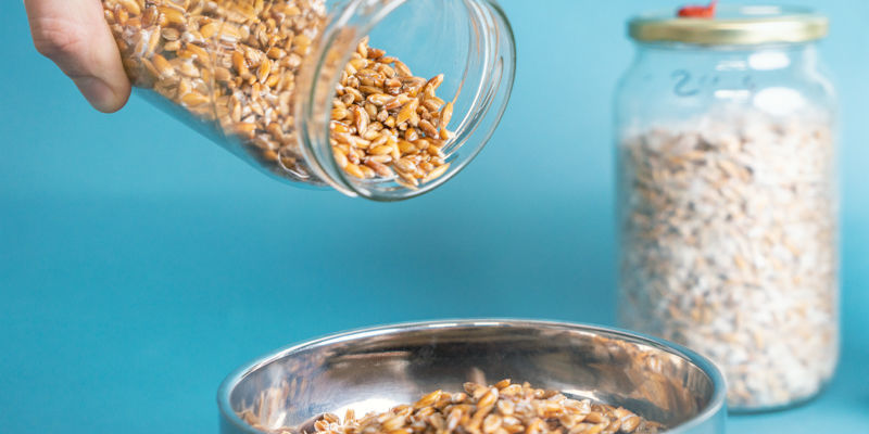 Næste trin: inokulering af bulk-substrat Næste trin: inokulering af bulk-substrat
