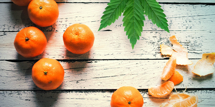 Tangerine Dream: Smag og virkninger TANGERINE DREAM: FLAVOUR AND EFFECTS