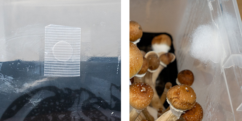 4. Blokering af luftgennemstrømning med Poly-Fil 4. Blokering af luftgennemstrømning med Poly-Fil