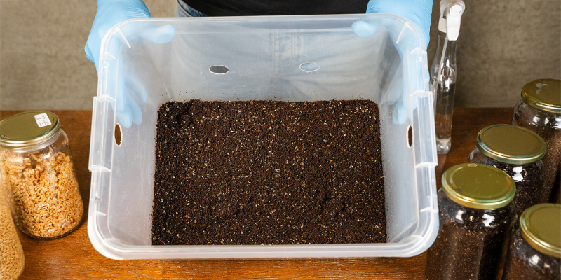 Hvilken størrelse beholder er bedst til en monotub? Hvilken størrelse beholder er bedst til en monotub?