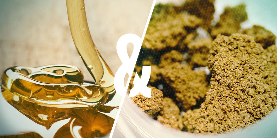 Hvad er jelly hash?