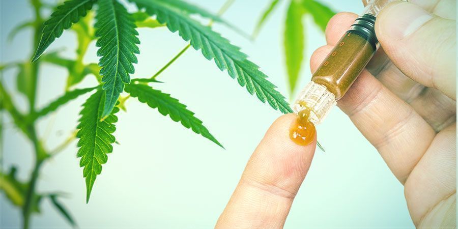 Fordelene ved cannabisrødder Fordelene ved cannabisrødder