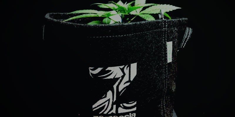 Holdbar Durable - Growing Cannabis