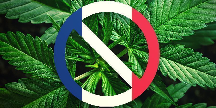 Frankrigs historie med cannabis Frankrigs historie med cannabis