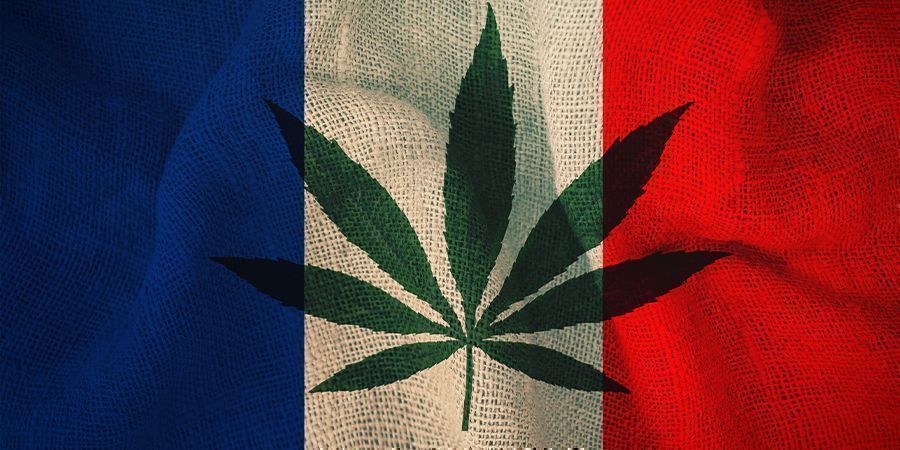 Udvalgets plan Frankrig og cannabis: Udvalgets plan