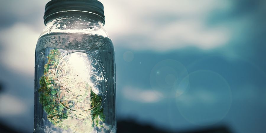 Trin-for-trin-instruktioner Sådan laver du cannabissalt: Trin-for-trin-instruktioner
