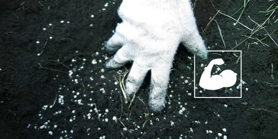 Fremstilling af superjord CREATING SUPER SOIL