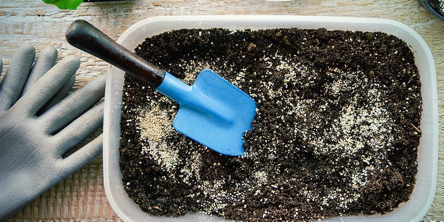 Den perfekte basejord til dine cannabisplanter Den perfekte basejord til dine cannabisplanter
