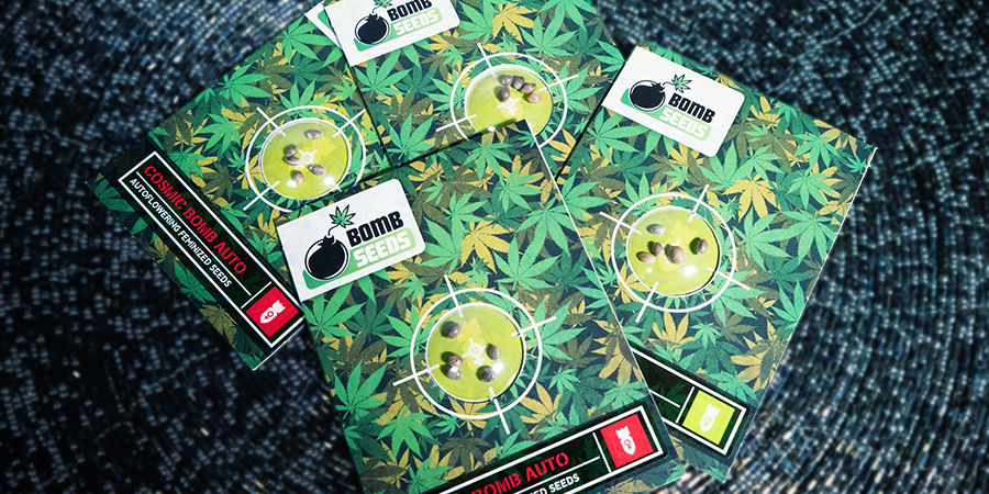 Lær Bomb Seeds at kende