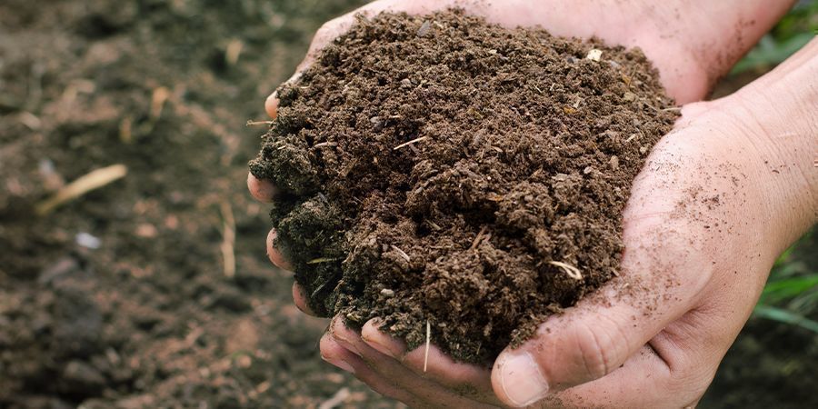 Tør og fiberrig kompost Dry And Fibrous Compost
