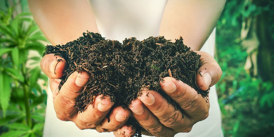 Sådan laver du din egen kompost til cannabisplanter SÅDAN LAVER DU DIN EGEN KOMPOST TIL CANNABISPLANTER