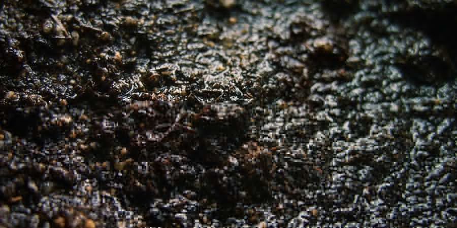Våd og slimet kompost WET AND SLIMY COMPOST
