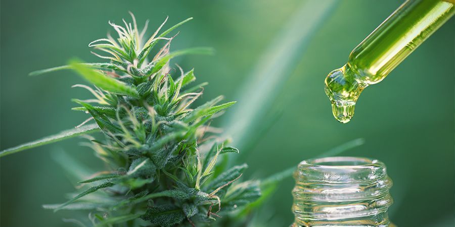 Beregn den rigtige dosis Cannabis Concentrates Edibles: Calculate the Correct Dose