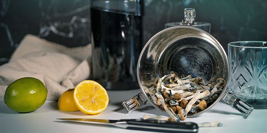Sådan laver du lemon tek med magiske svampe eller magiske trøfler Sådan laver du lemon tek med magiske svampe eller magiske trøfler
