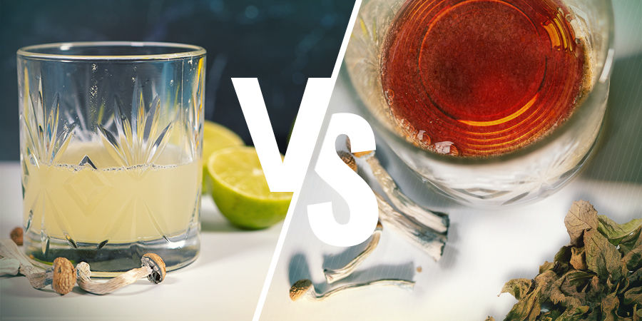 Lemon Tek Vs Shroom Tea Lemon Tek Vs Shroom Tea