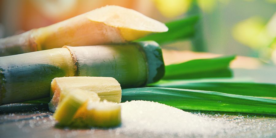 Sukrose- og lipidniveauer Sukrose- og lipidniveauer