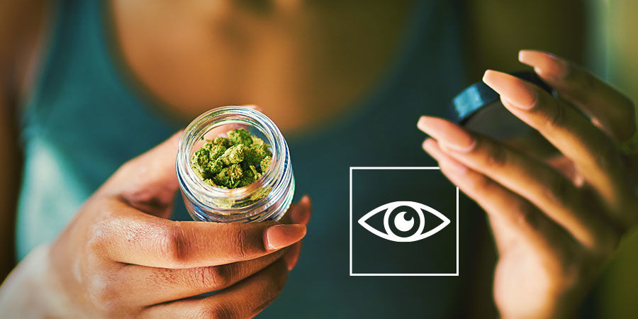 Inspicér dine blomster visuelt Sådan opdager du forurening i cannabis: Inspicér dine blomster visuelt
