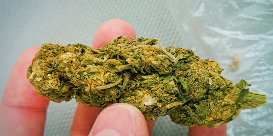 Sand Cannabisforurening: Sand
