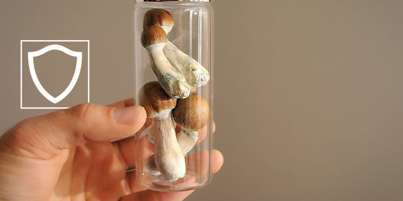Er magiske svampe mere sikre end LSD? Er magiske svampe mere sikre end LSD?